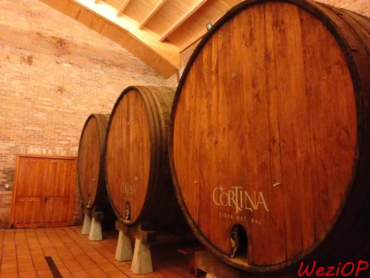 Visite de la Cortina – cidrerie des Asturies