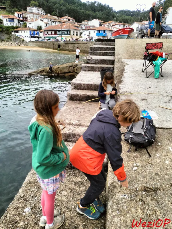 Pêche party à Tazones