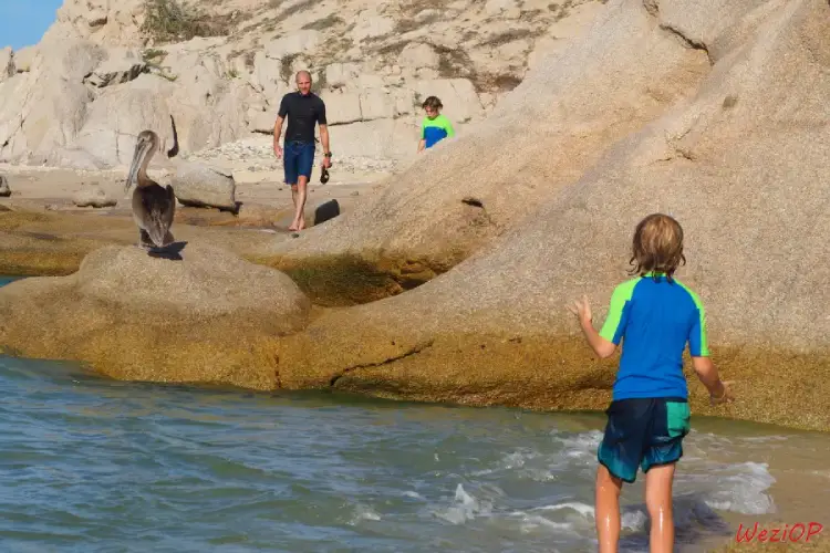 Plage El Arbolito - Basse Californie du sud