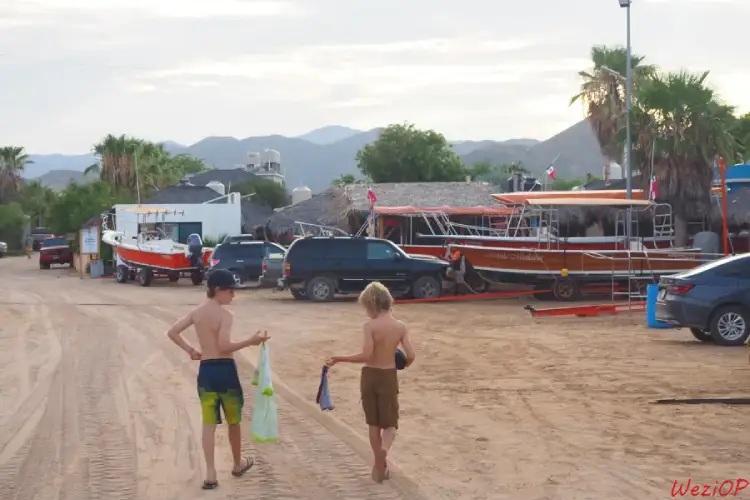 Cabo Pulmo - Basse Californie du sud