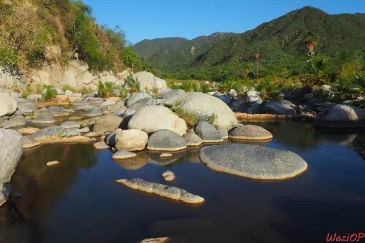 La rivière – Rancho San Dionisio