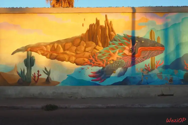 Fresque murale à La Paz – Basse Californie du sud