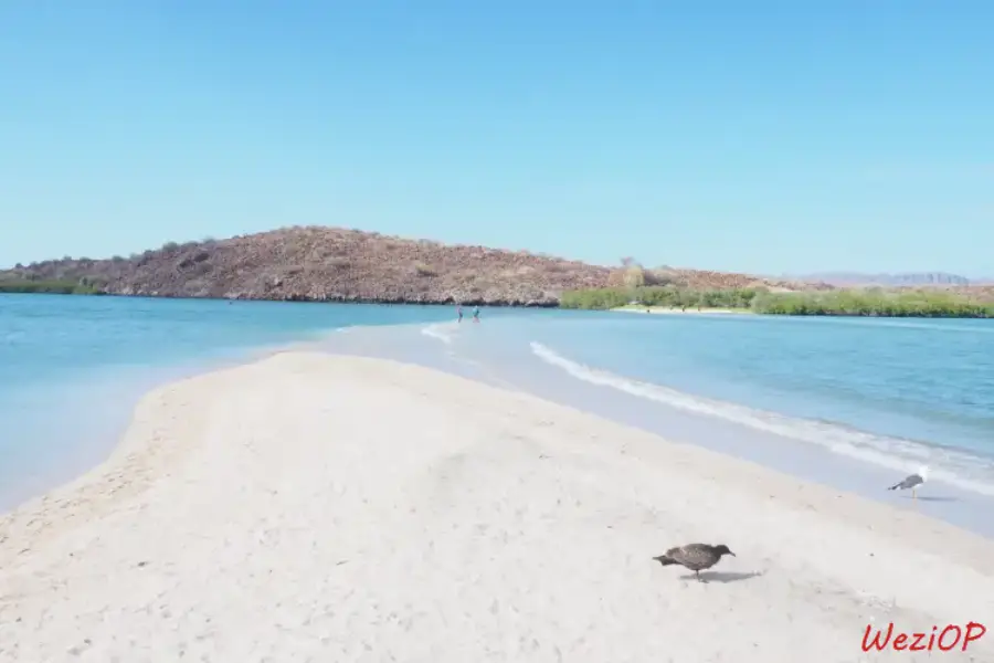 Playa El Requeson – Basse Californie du sud