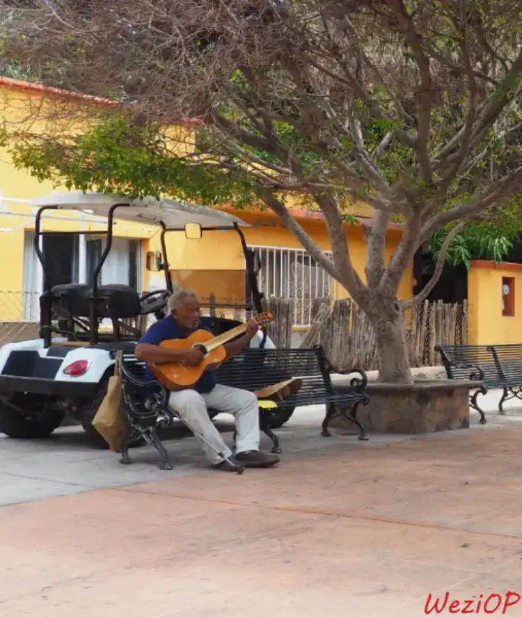 Un peu de musique ne fait pas de mal - Loreto