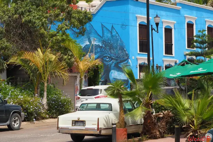 Fresque à Todos Santos – Basse Californie du sud