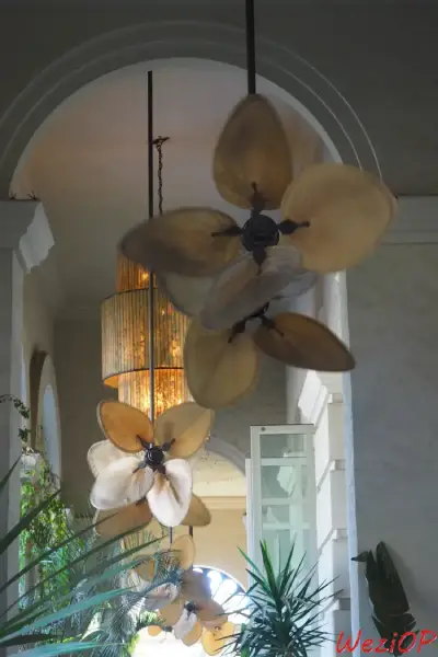 Restaurant Oystera à Todos Santos – Basse Californie du sud