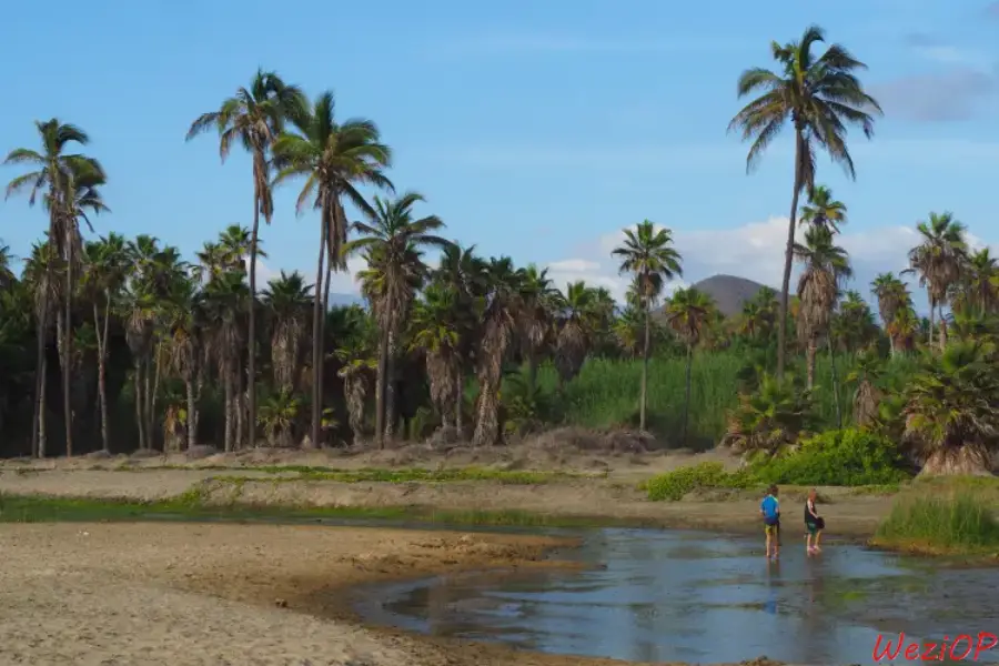 Playa Las Palmas – Basse Californie du sud