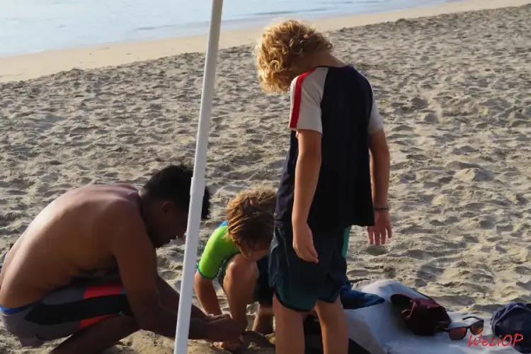 Préparation des appâts à Las Palmas – Basse Californie du sud