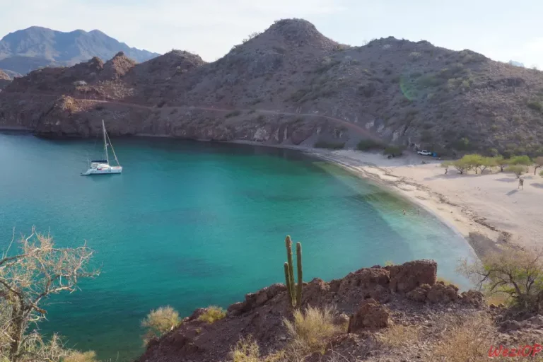 Agua Verde _ El Puertito - Basse Californie du sud