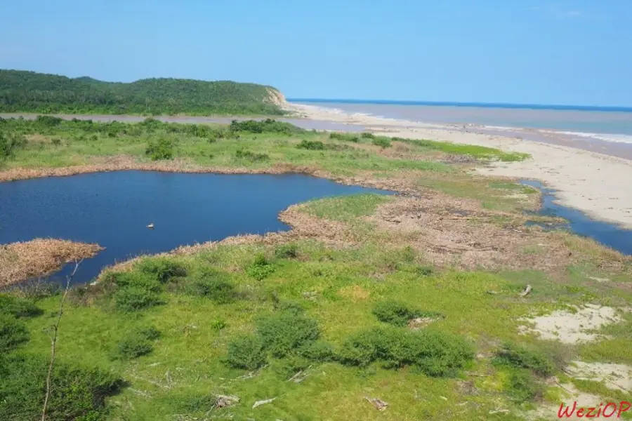 Vue sur la lagune du parc national Ricardo Flores Magon