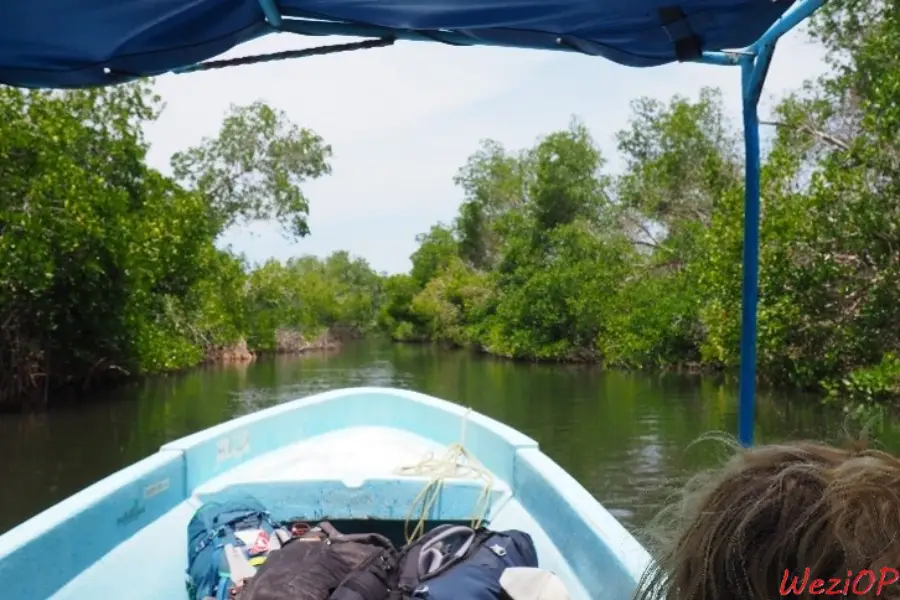 Traversée en bateau de la lagune de Chacahua