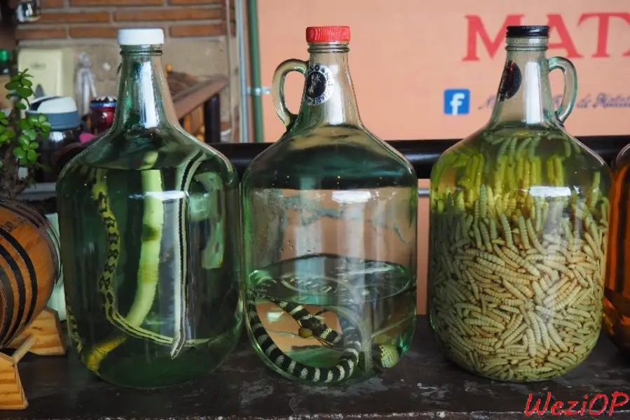 Carafes de Mezcal a la distillerie el rey de Matatlan – environs de Oaxaca