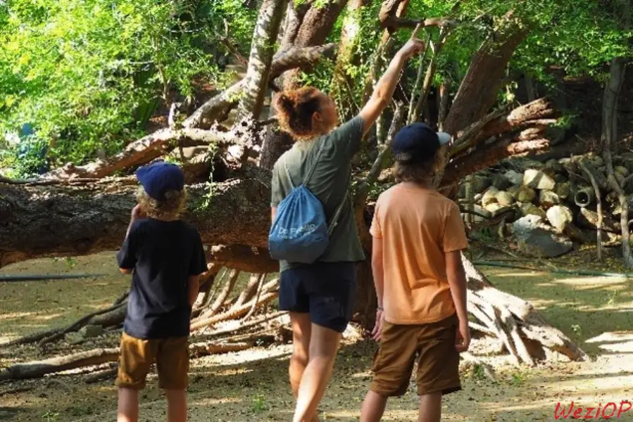 Visite de l’iguanarium près de San Agustinillo