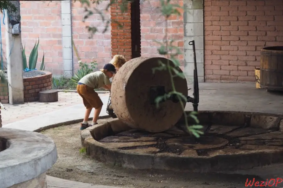 La meule utilisée pour écraser l’agave lors de la confection du Mezcal