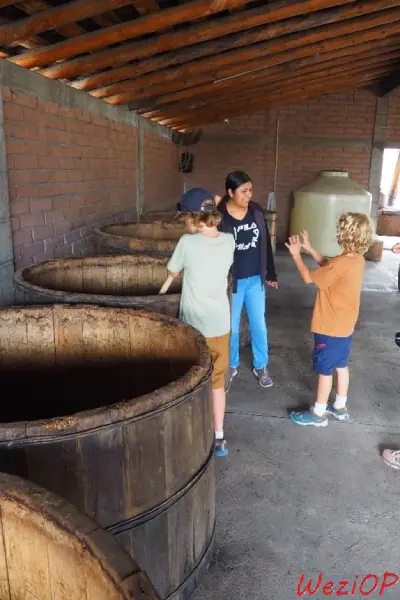 Explications concernant la confection du Mezcal