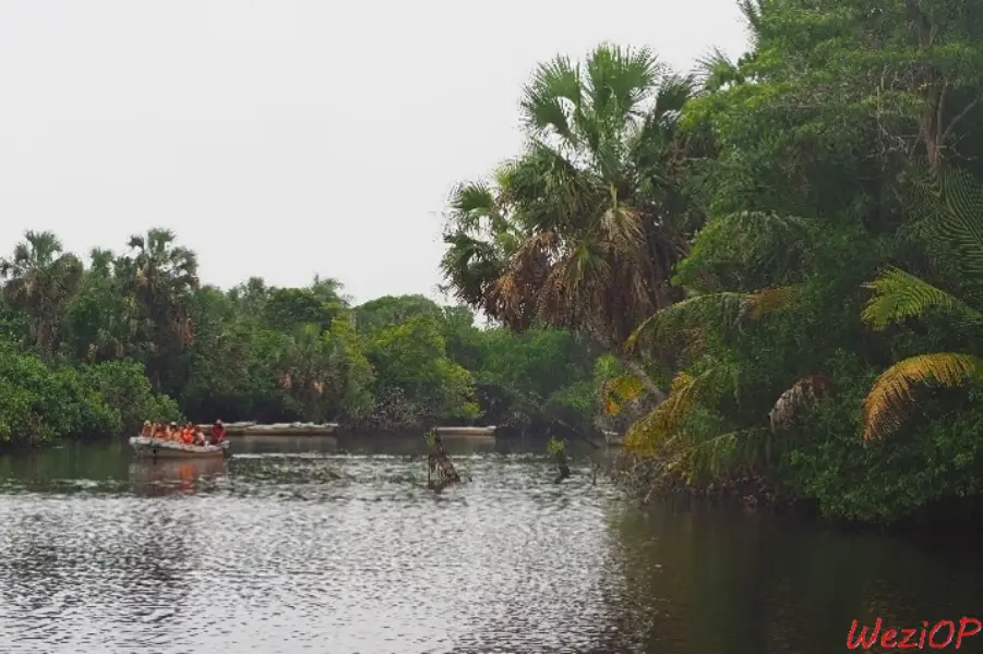Découverte en barque de la Laguna Ventanilla