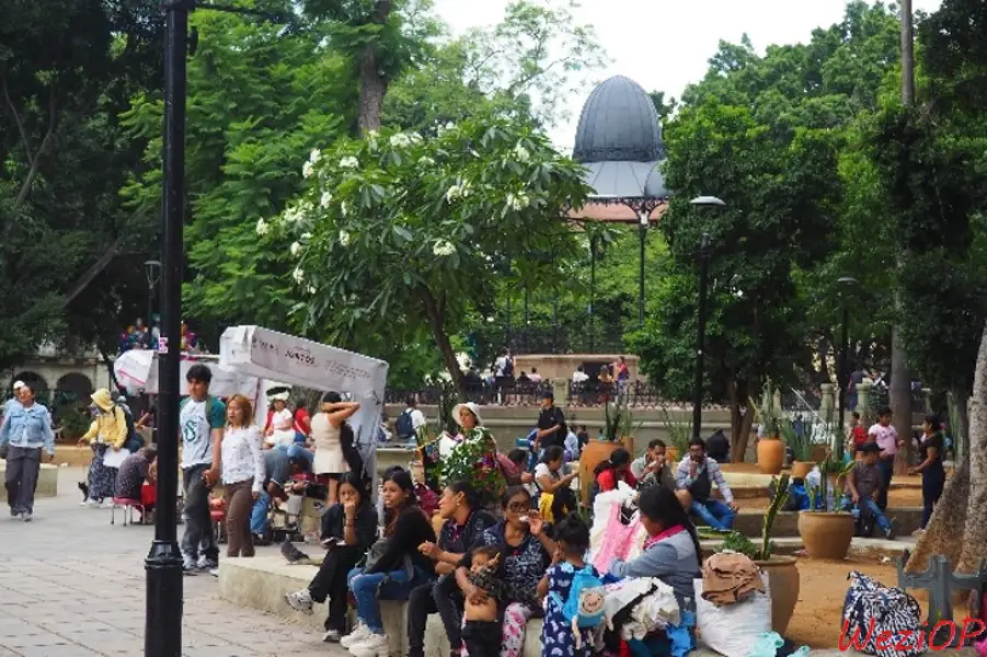 Le Zocalo, au centre de Oaxaca