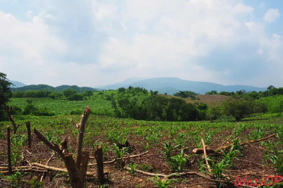 Sur la route entre Santa Maria Huatulco et Pocthutla
