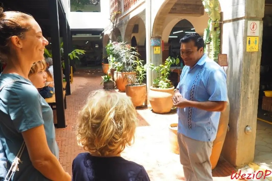 Début de la visite de l’atelier de Jacobo & María Ángeles – San Martin Tilcajete