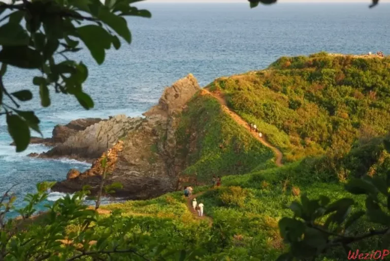 Punta Cometa - à Mazunte