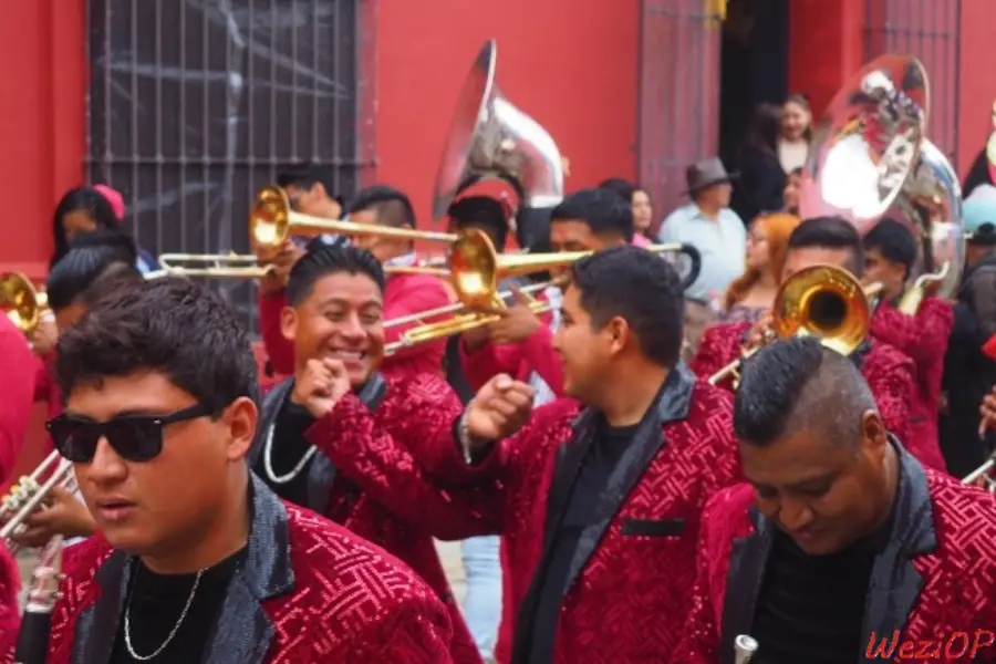 Défilé dans la calle Macedonio Alcalá - Oaxaca